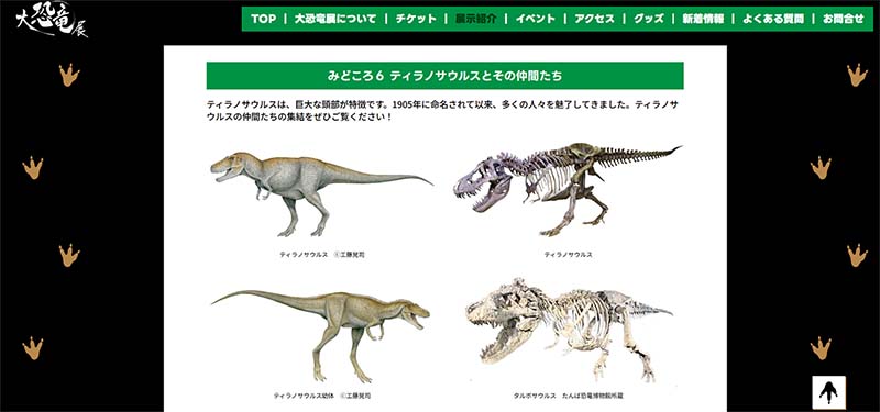 公式】大恐竜展-新発見の堅頭竜類ザヴァケファレ